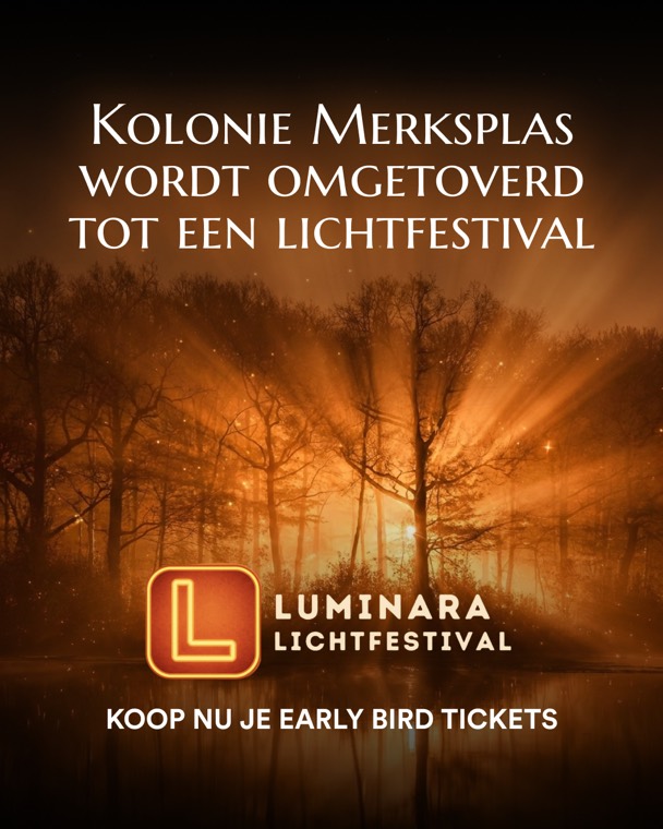 Lumi light festival static