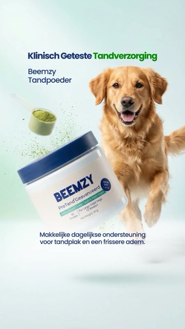 Beemzy static